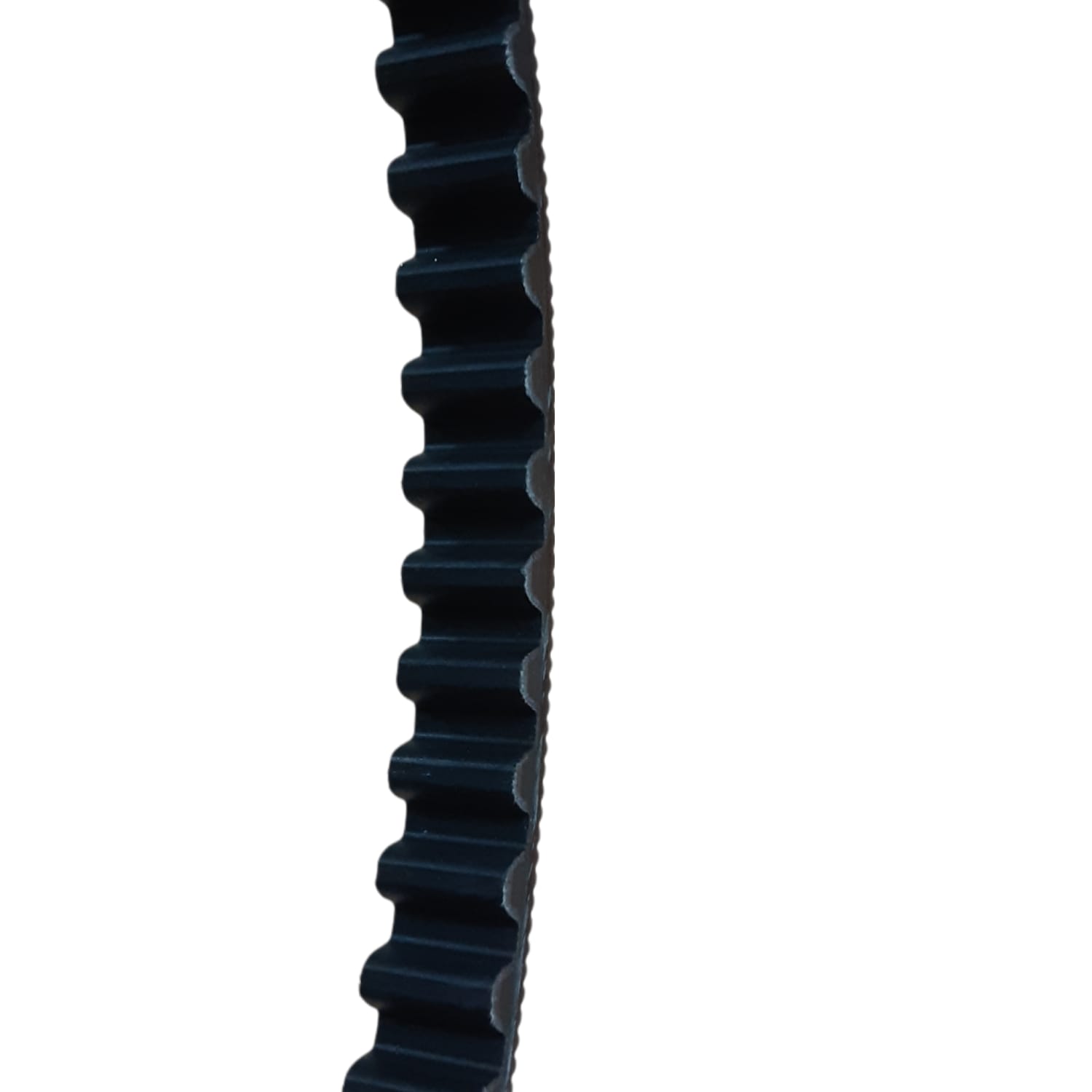 Correa Gates Poly Chain 14MGT 2100 20