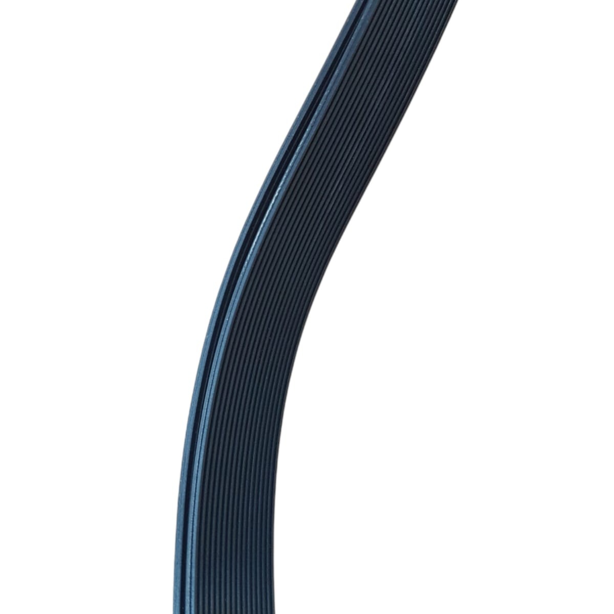 Correa sembradora MaterMacc Arbos 51550001 Poly-V J16 MS8000