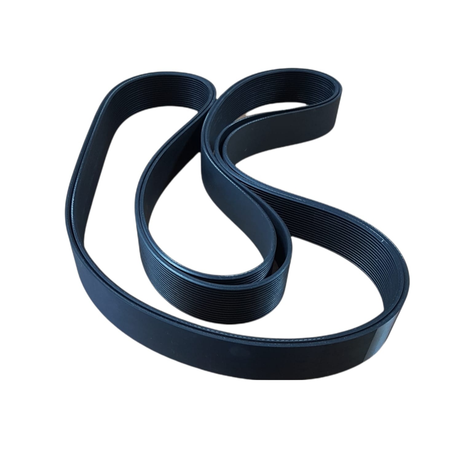 Correa sembradora MaterMacc Arbos 51550001 Poly-V J16 MS8000