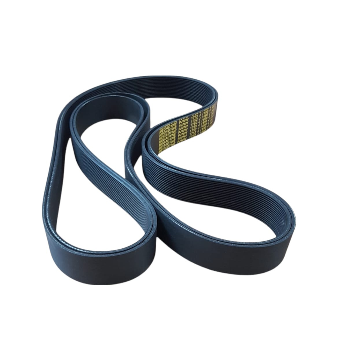 Correa sembradora MaterMacc Arbos 51550001 Poly-V J16 MS8000